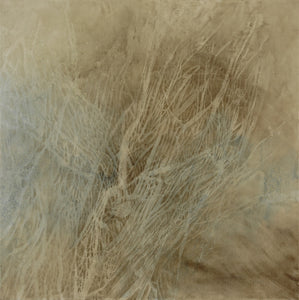 Shirley Ploog - Ephemeral Notes