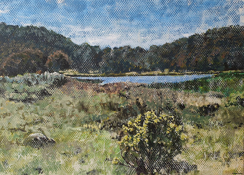 Elizabeth Tarrant - Lake Catani Afternoon Painting