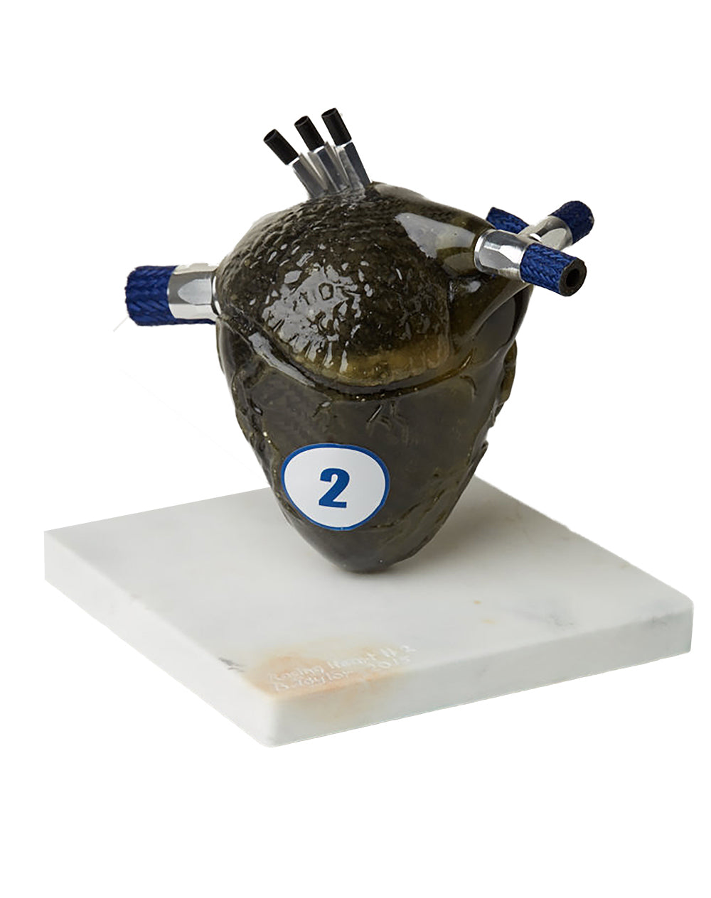 Brendon Taylor - Racing Heart #2