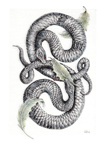 Linda Weil - Three Snake Leaves
