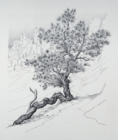 Linda Weil - Grandmother Tree